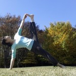 11月下旬の公園は、思ったより暖かい♪ 11月下旬の公園は、思ったより暖かい♪