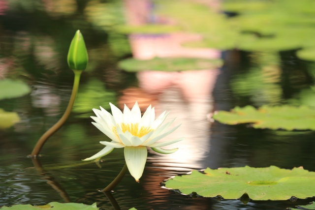 【緊急のお知らせ】★YunaYoga 「呼吸」をみっちり行うクラス 【緊急のお知らせ】★YunaYoga 「呼吸」をみっちり行うクラス