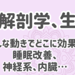 機能解剖学、生理学で睡眠改善、身体を変える