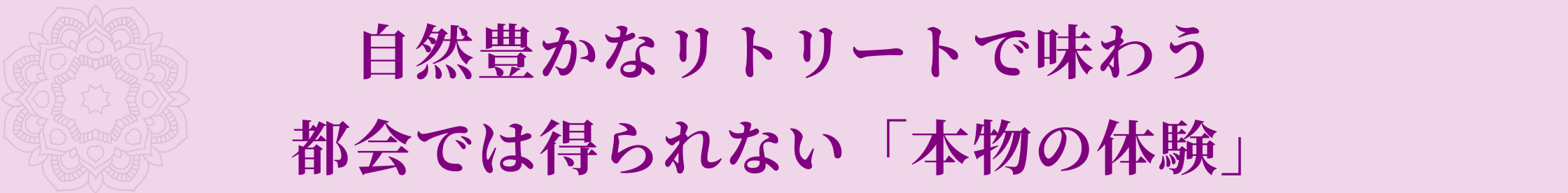 メリットの内容：自然豊かなリトリートで味わう 都会では得られない「本物の体験」