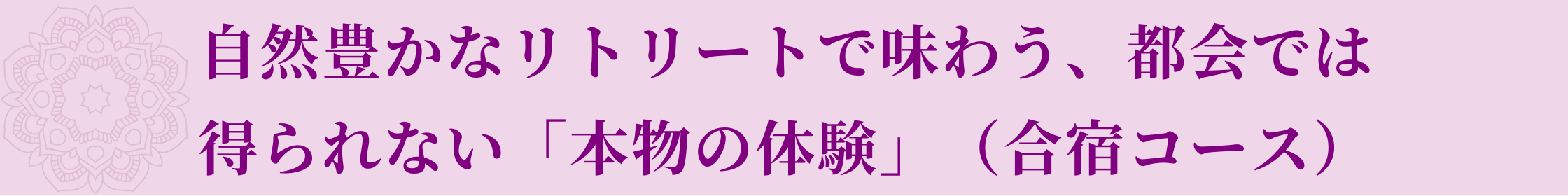 メリットの内容：自然豊かなリトリートで味わう 都会では得られない「本物の体験」