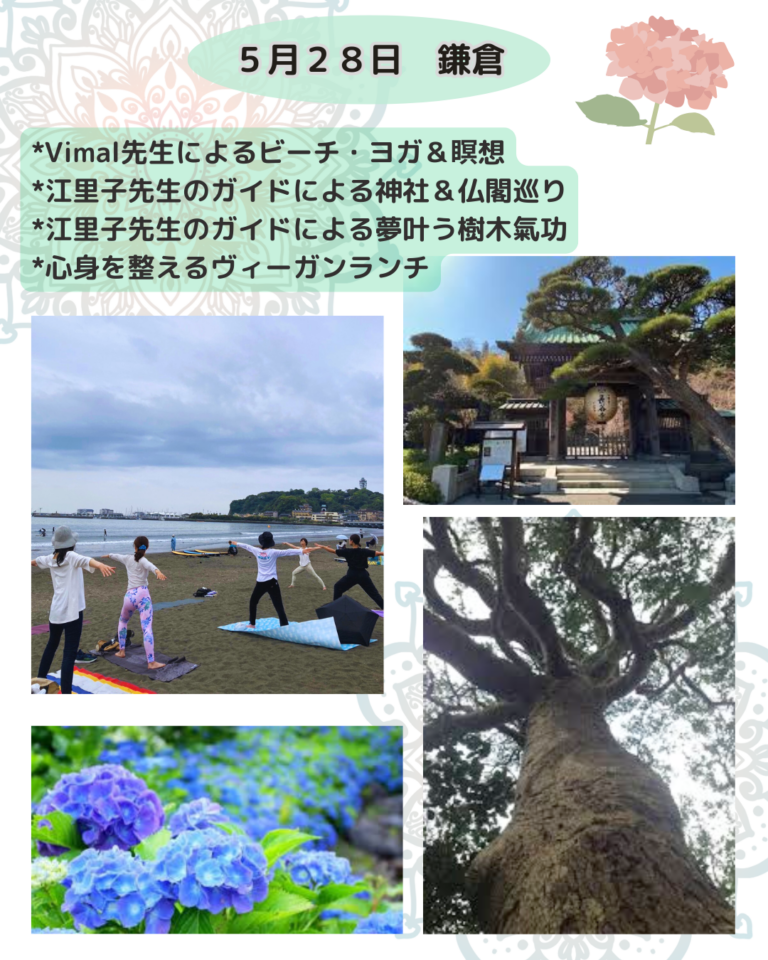 鎌倉リトリート_ビーチヨガ_神社仏閣巡り_ヴィーガンランチ