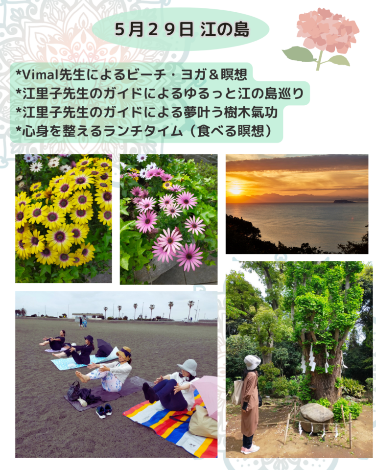 江の島リトリート_ヨガと瞑想_島巡り_食べる瞑想ランチ