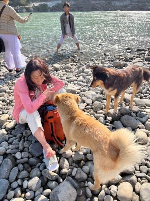 ガンジス川の犬4