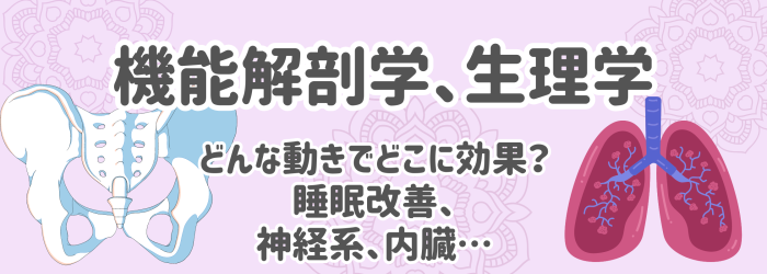 機能解剖学、生理学で睡眠改善、身体を変える